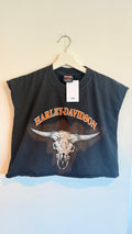 2004 Harley Cow Skull