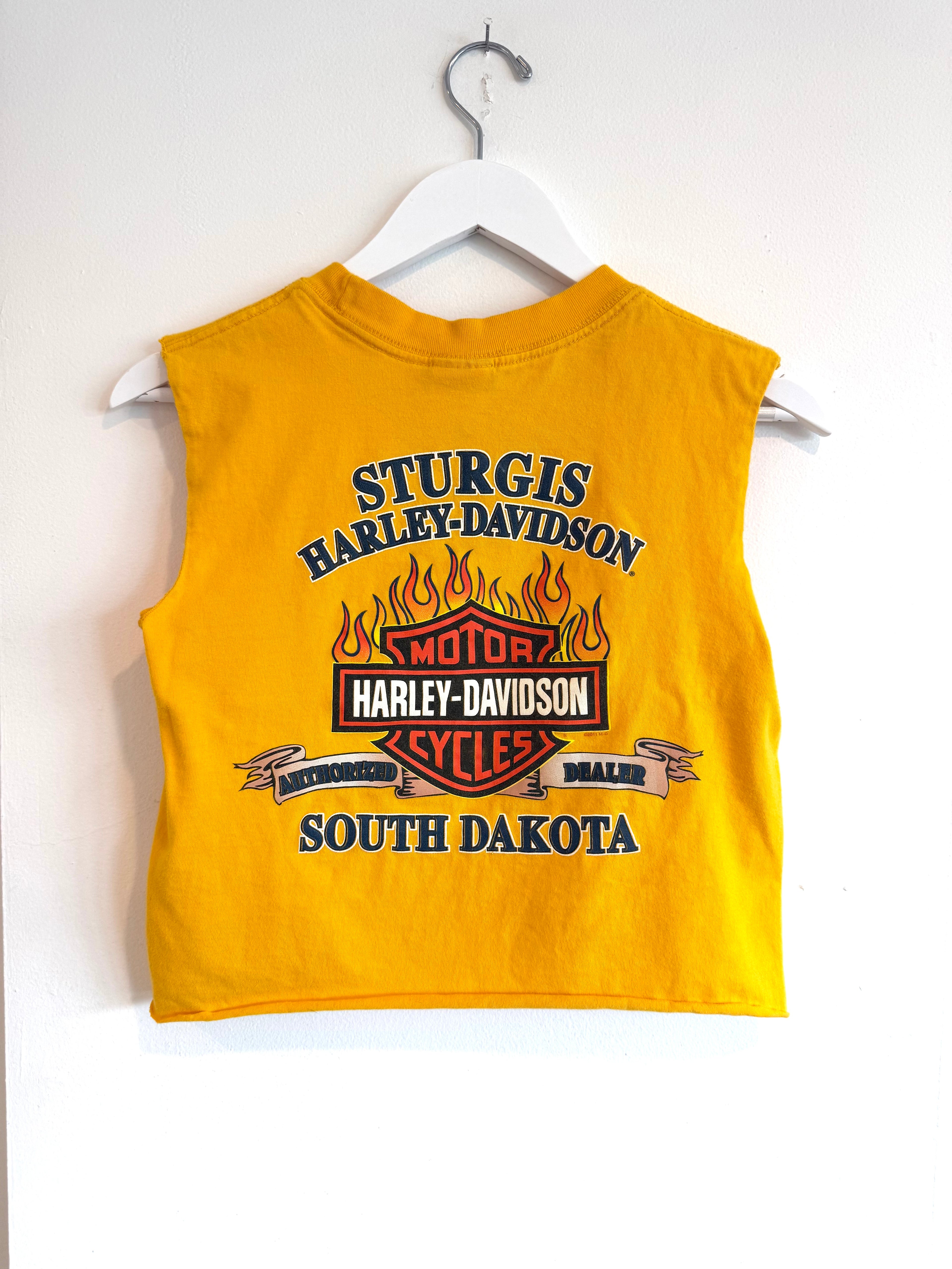 2011 Harley South Dakota