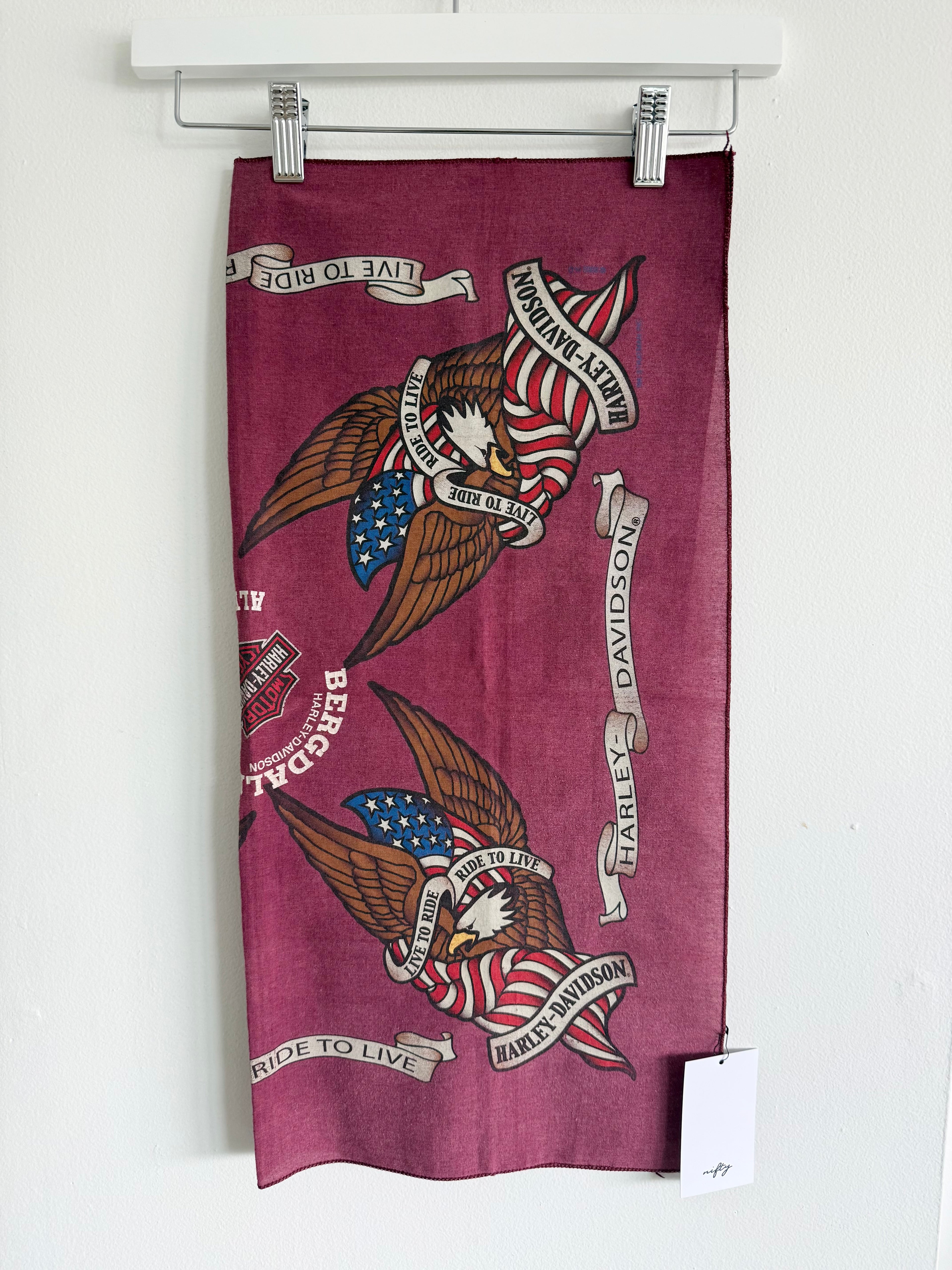 Bergdale Bandana