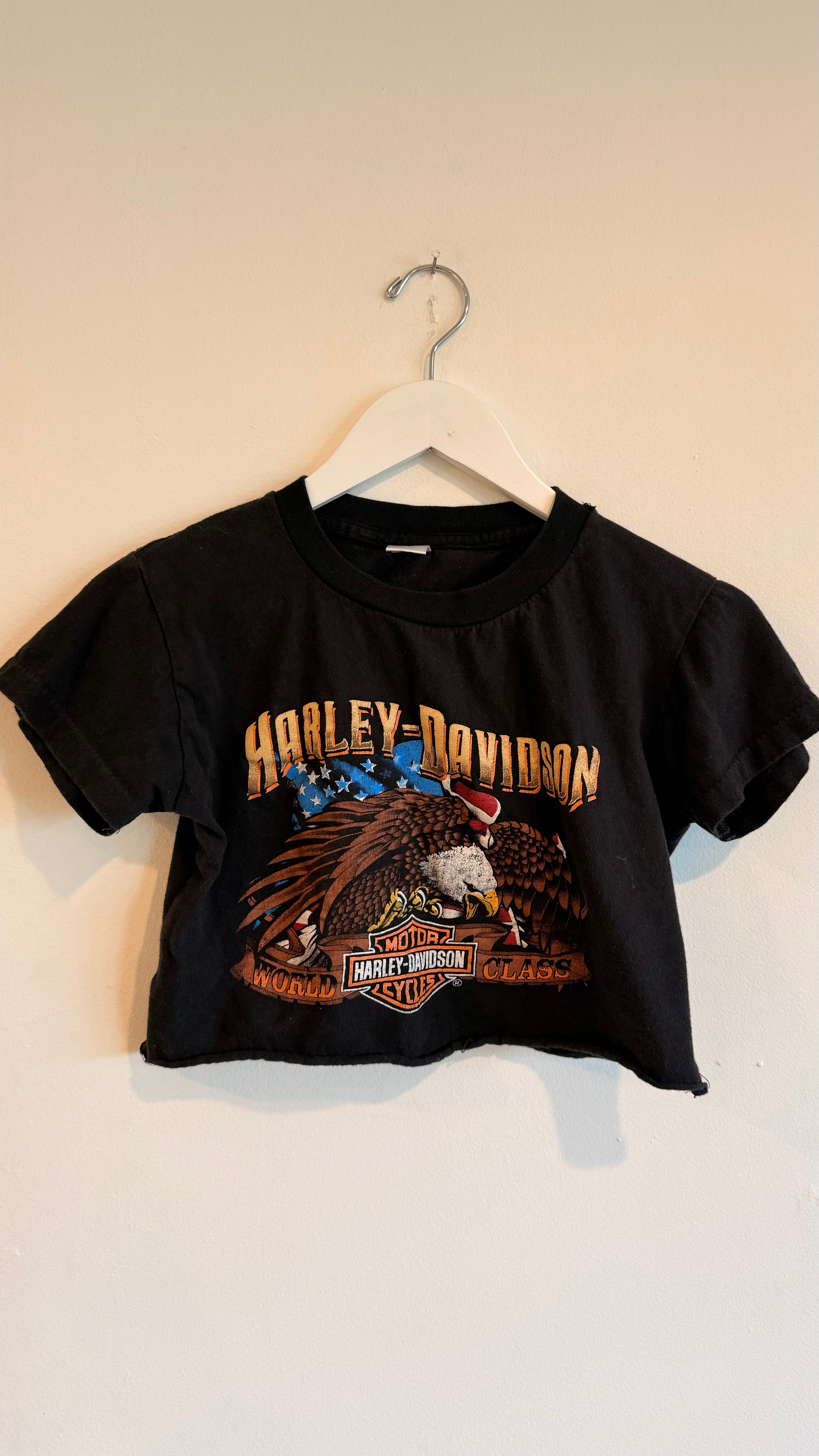 Harley Rapid City Crop